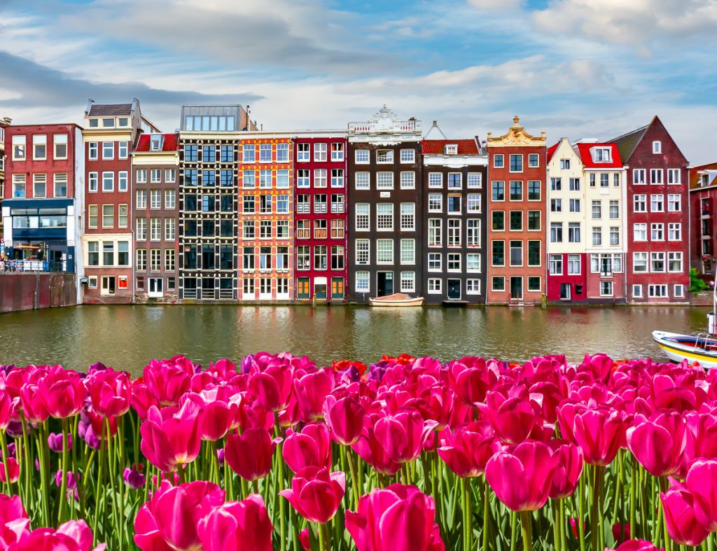 Tulip Time