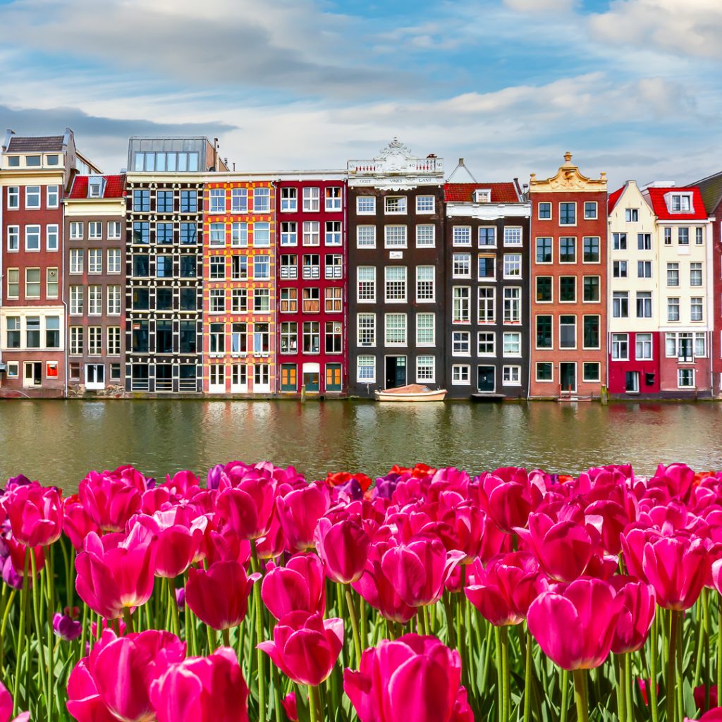 Tulip Time