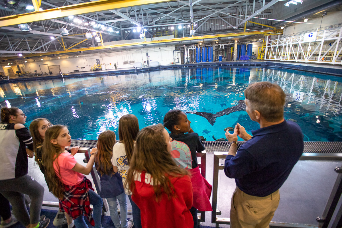 Aquarium Sleepover Traveling Homeschoolers